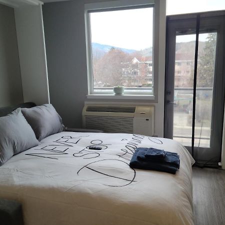 Cozy Studio Suite, 15Min Walk To Downtown 基洛纳 外观 照片